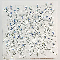 Annabel Daou